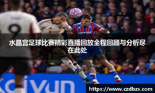 水晶宫足球比赛精彩直播回放全程回顾与分析尽在此处
